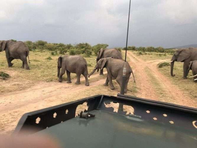 amboseli kenya