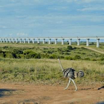 Nairobi National Park
