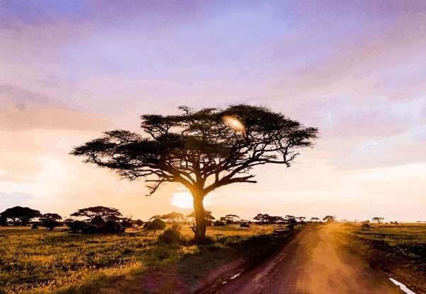 Sunset at amboseli national Park Kenya