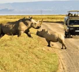 amboseli kenya 24
