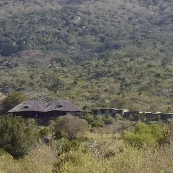 Lodge set into a forested hillside