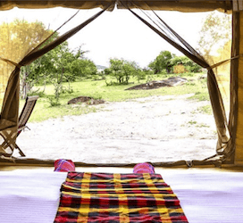 Masai Mara Economy