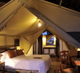 Ol Pejeta Comfort