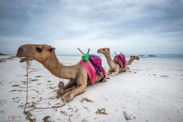 diani beach 3