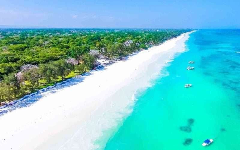 Diani Beachm Kenya Aether safari collection 2 scaled