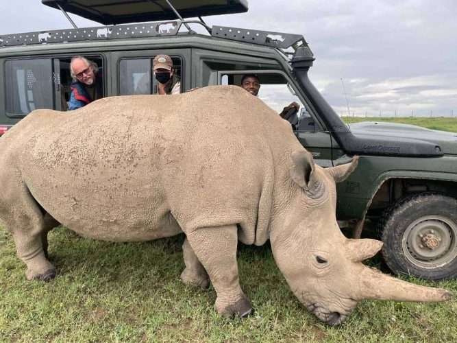 Ol Pejeta Concervancy Kenya 3