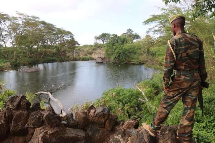 Mzima springs Tsavo West National Park Kenya