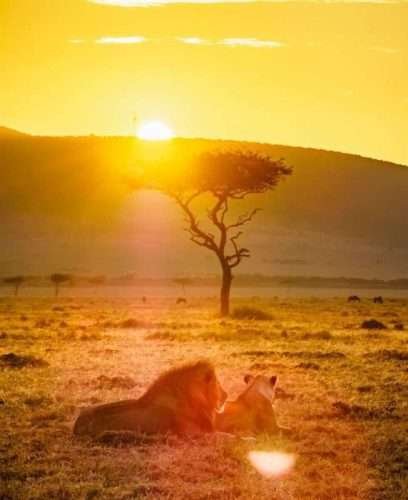 Kenya 20217 HDR