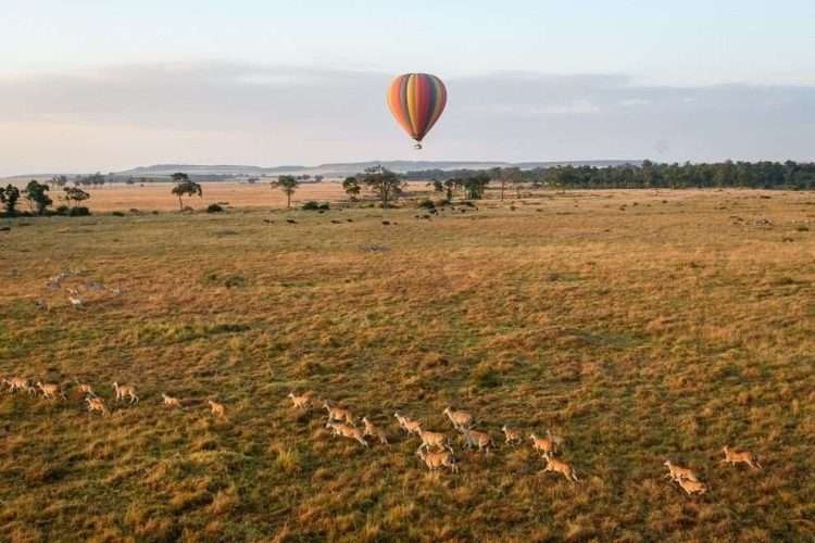 Masai Mara Hot Air Balloon Safari Aether safari collection photo credits Governors collection5
