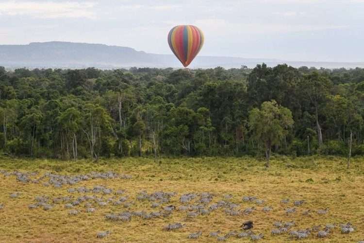Masai Mara Hot Air Balloon Safari Aether safari collection photo credits Governors collection7
