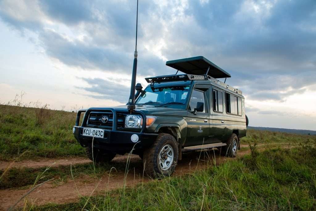 On Safari scaled