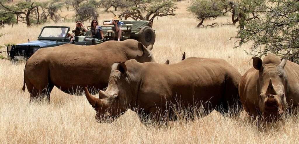 Lewa Conservancy