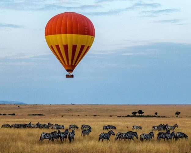 Masai Mara National Park Kenya safaris 1 scaled