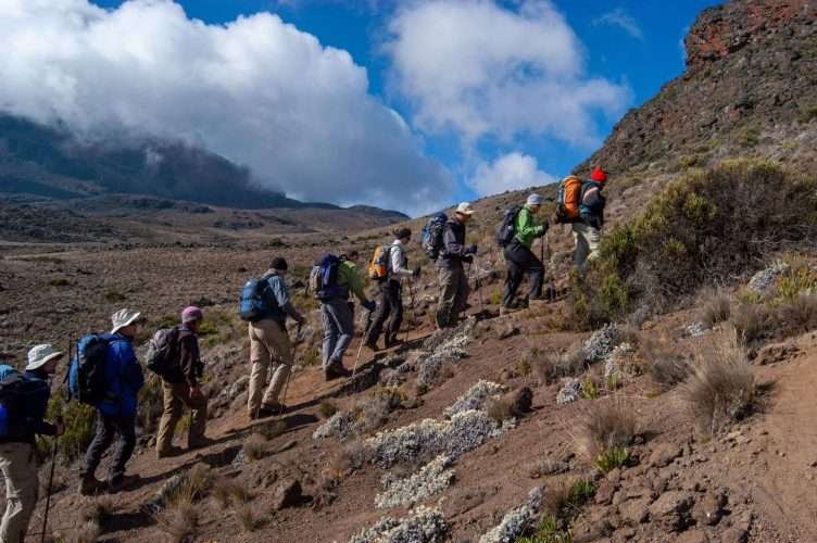 Mount Kilimanjaro scaled