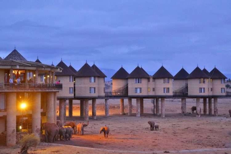 Saltlick Safari Lodge Nairobi to Diani beach safaris Aether safari collection