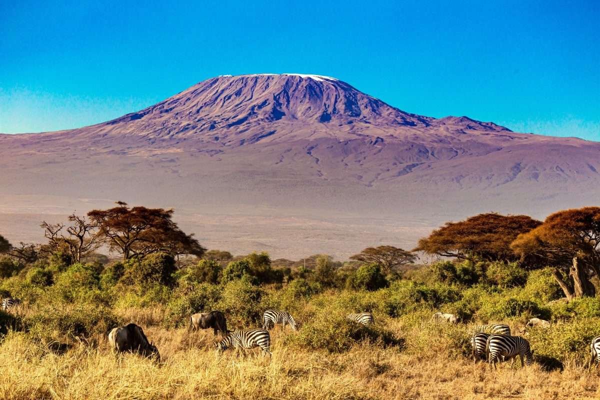Amboseli National Park Mount Kilimnajaro scaled
