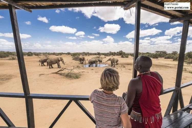 Porini Amboseli Camp Selenkay Conservancy Amboseli National Park