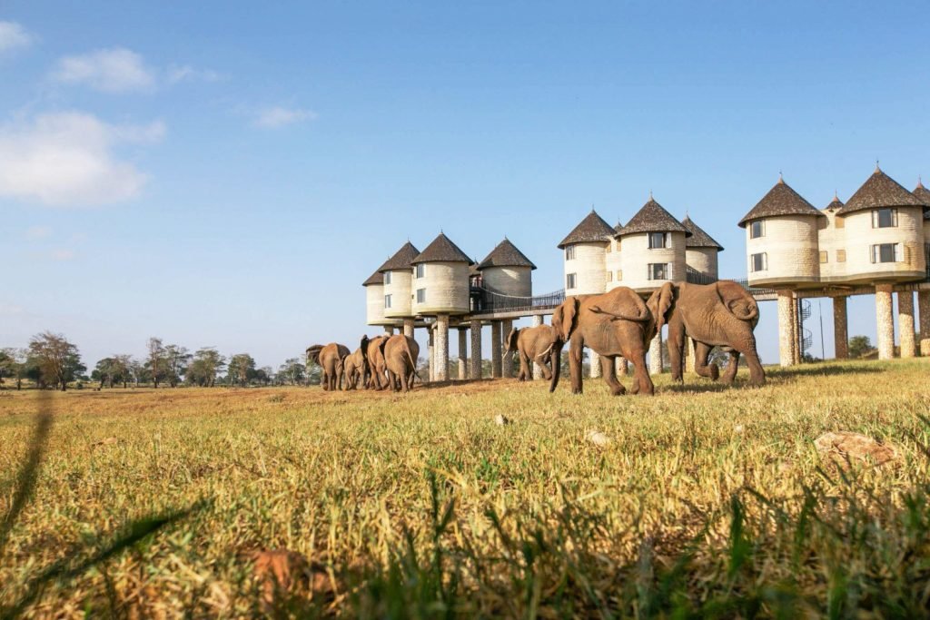 Saltlick Safari Lodge Taita Hills Wildlife Sanctuary scaled