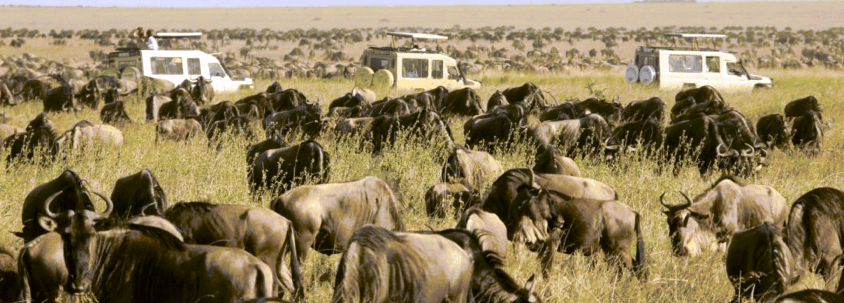 Serengeti From AKS