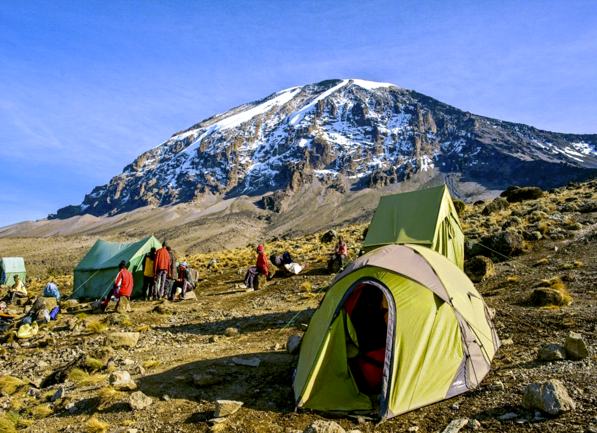 Kilimanjaro