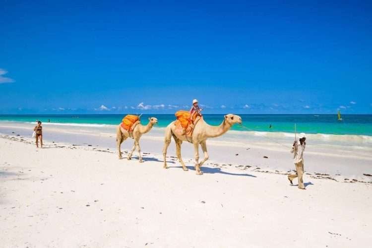Diani Sea Resort best beach resorts at Diani beach Kenya Aether safari collection 2