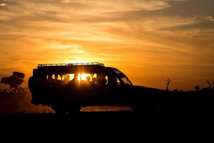 Night game drive Aether safari collection scaled