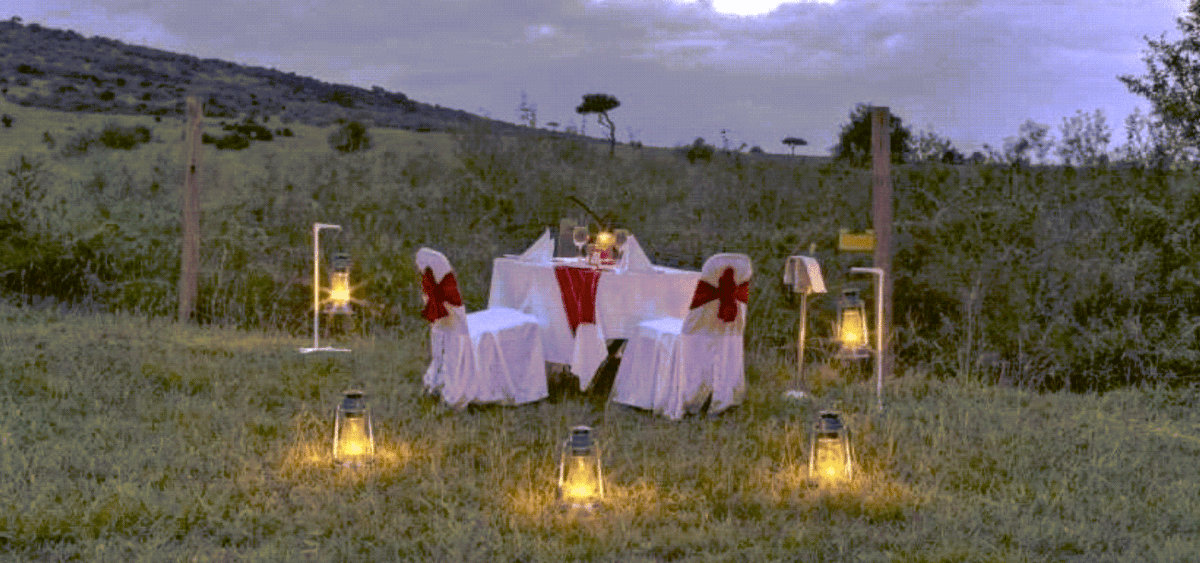 Bush Dining 2