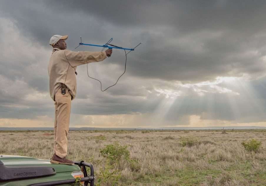 Lion tracking at Mugie Conservancy in Kenya Aether safari collection photo credits Governors Camps