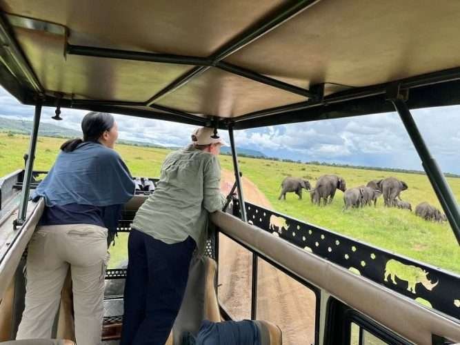 Best safari tours in Kenya and Tanzania Aether safari collection