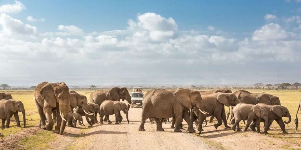 Kenya Family safaris Oltukai Lodge Amboseli National Park Aether safari collection Limited