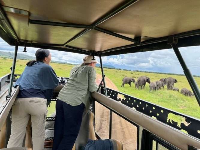 Africa safari tours in Kenya and Tanzania with Aether safari collection 2