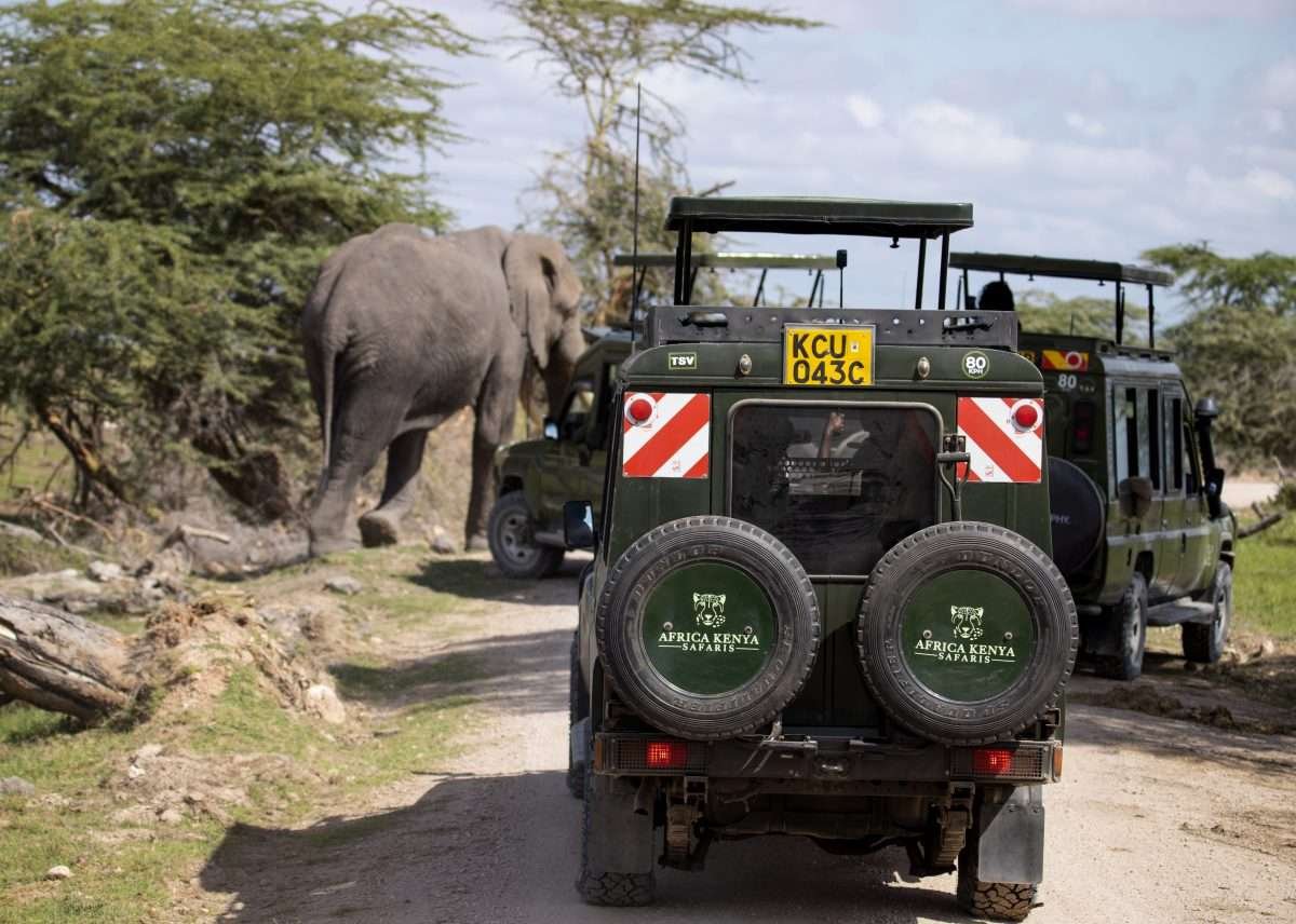 Elephants at Amboseli National Park Kenya safari tour packages by Aether safari collection 4 scaled