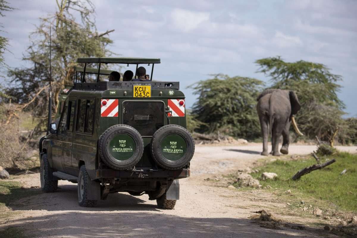 Elephants at Amboseli National Park in Kenya. Book best East Africa safaris in Kenya and Tanzania with Aether safari collection and explore the best wildlife parks like Amboseli, Lake Nakuru, Masai Mara, Ol Pejeta, Tsavo, Serengeti, Ngorongoro, Lake Manyara and Tarangire