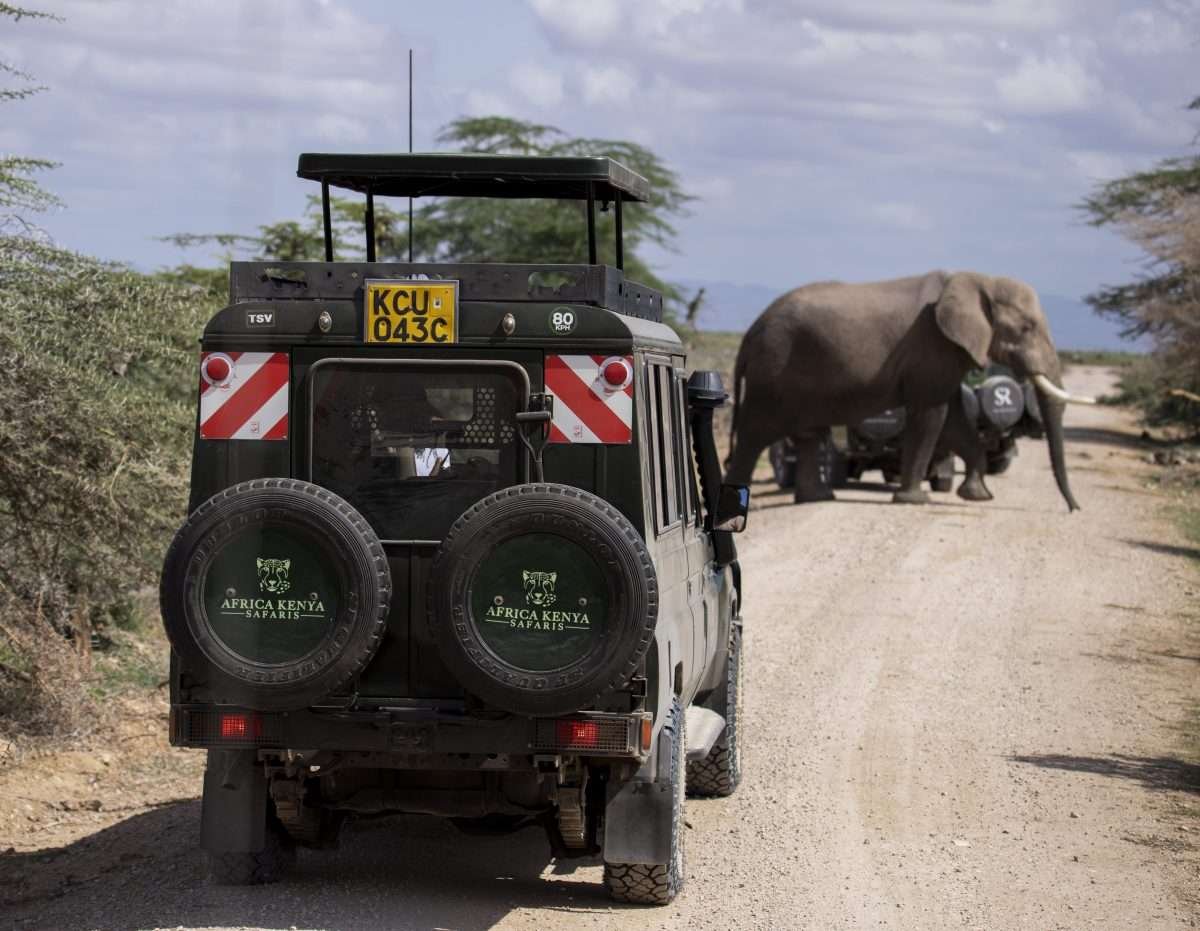 Elephants at Amboseli National Park Kenya safari tour packages by Aether safari collection 7 scaled