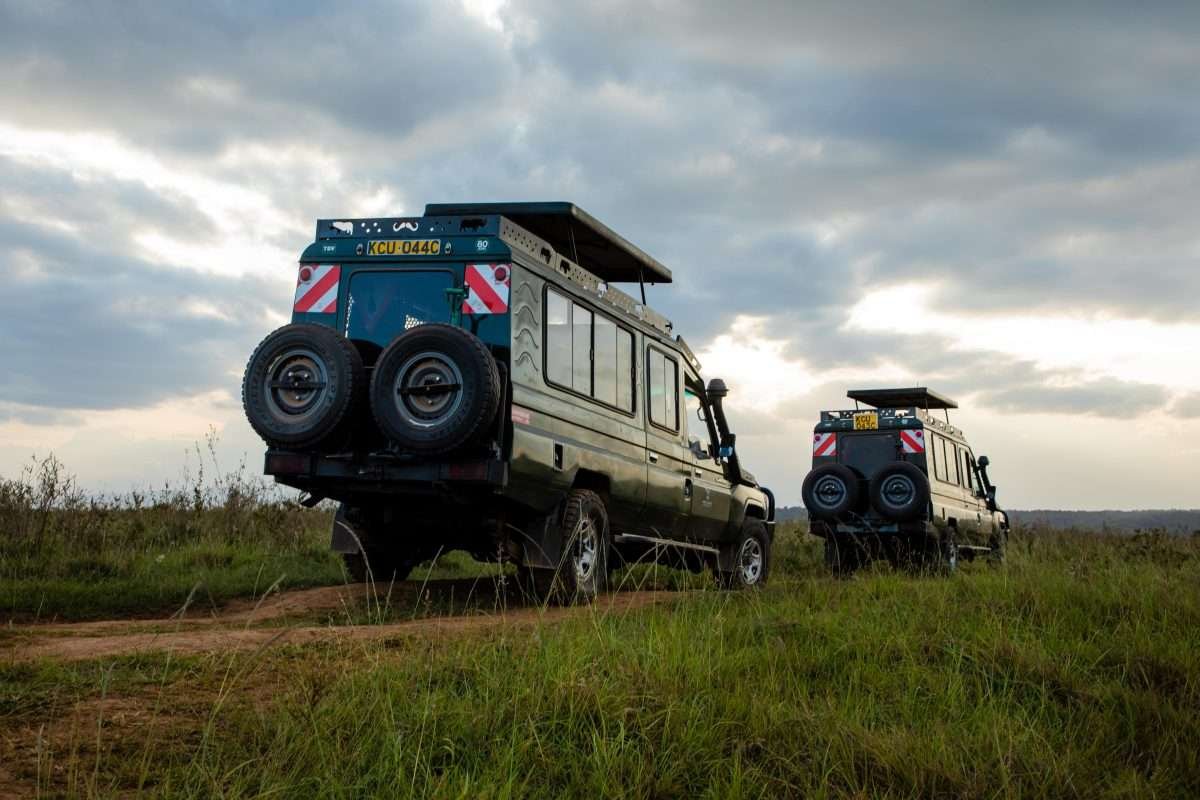 Safari Jeep scaled