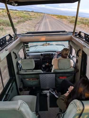 safari jeep 2