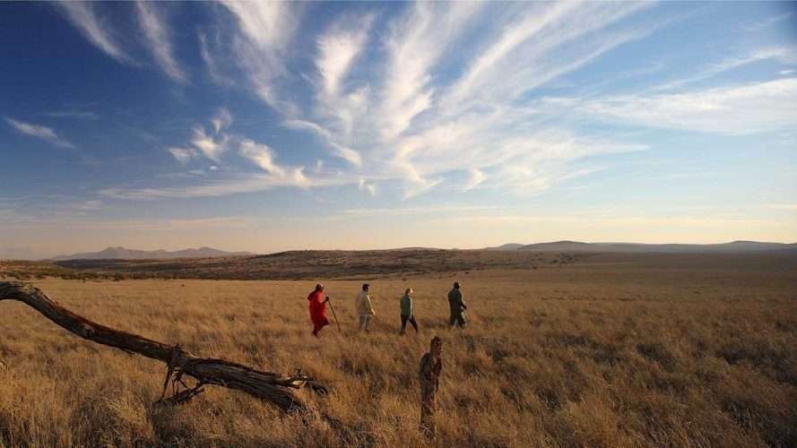 Lewa Safari Camp Lewa Wildlife Conservancy in Kenya Aether safari collection 2