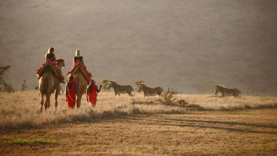 Lewa Safari Camp Lewa Wildlife Conservancy in Kenya Aether safari collection 3