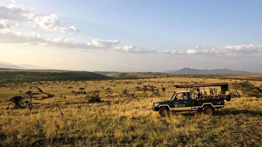 Lewa Safari Camp Lewa Wildlife Conservancy in Kenya Aether safari collection 5