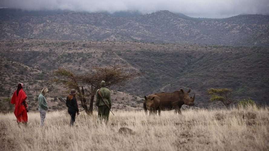 Lewa Safari Camp Lewa Wildlife Conservancy in Kenya Aether safari collection