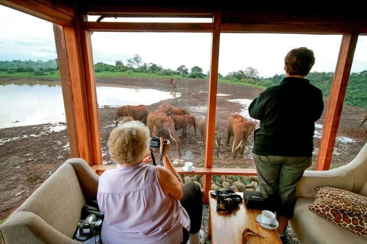 The Ark tree lodge Aberdare National Park in Kenya Aether safari collection 2