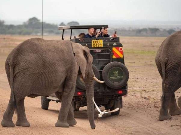 Aether safari collection safari tour to see elephants in Amboseli