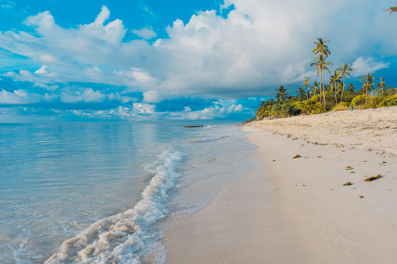 Palm-fringed tropical beach with calm turquoise water