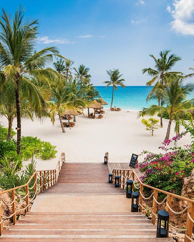 Wooden steps leading through palms to a tropical beach