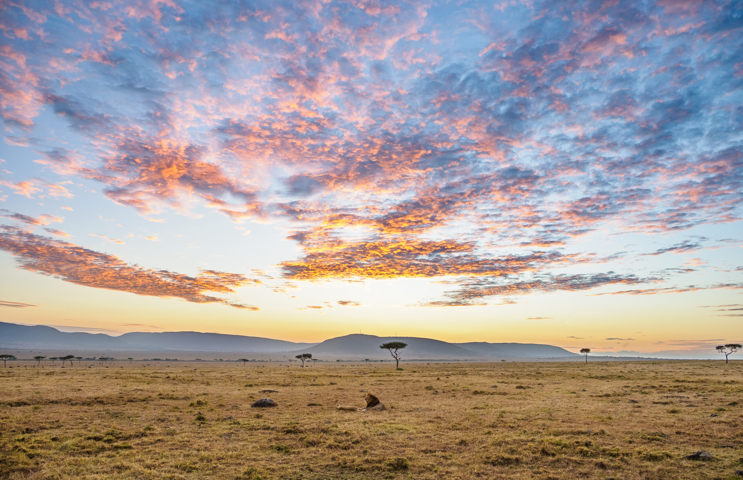 Pink sunset sky over the open plains