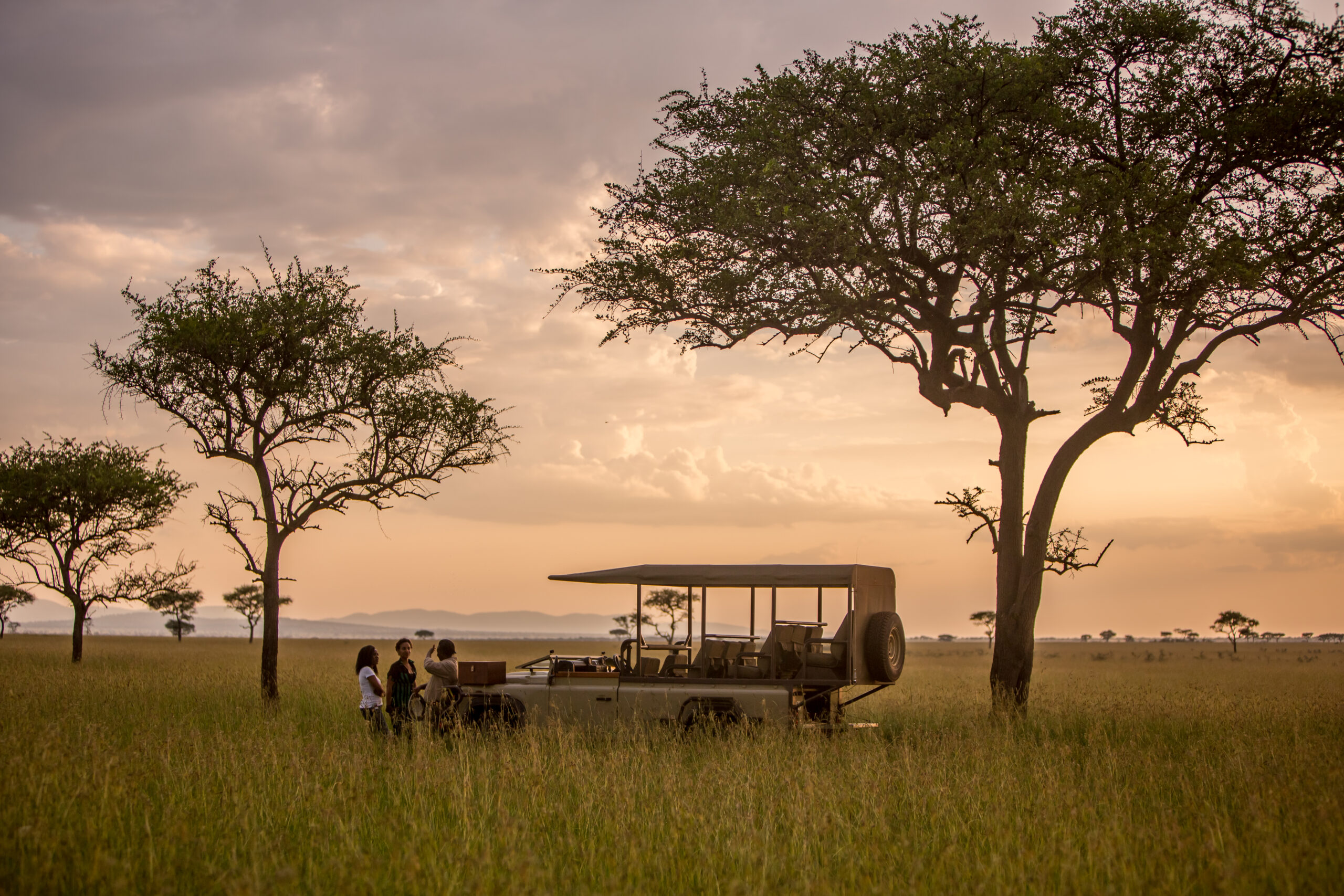 Safari vehicle among acacia trees at first light