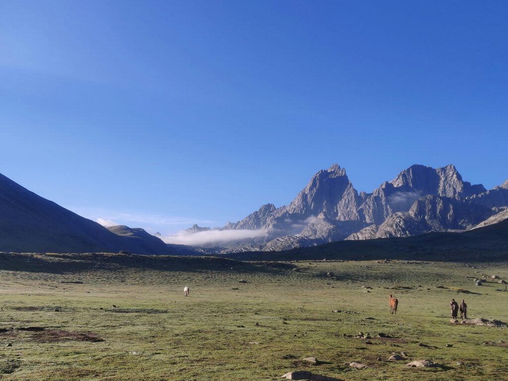 Peaks of Mount Kenya above open moorland