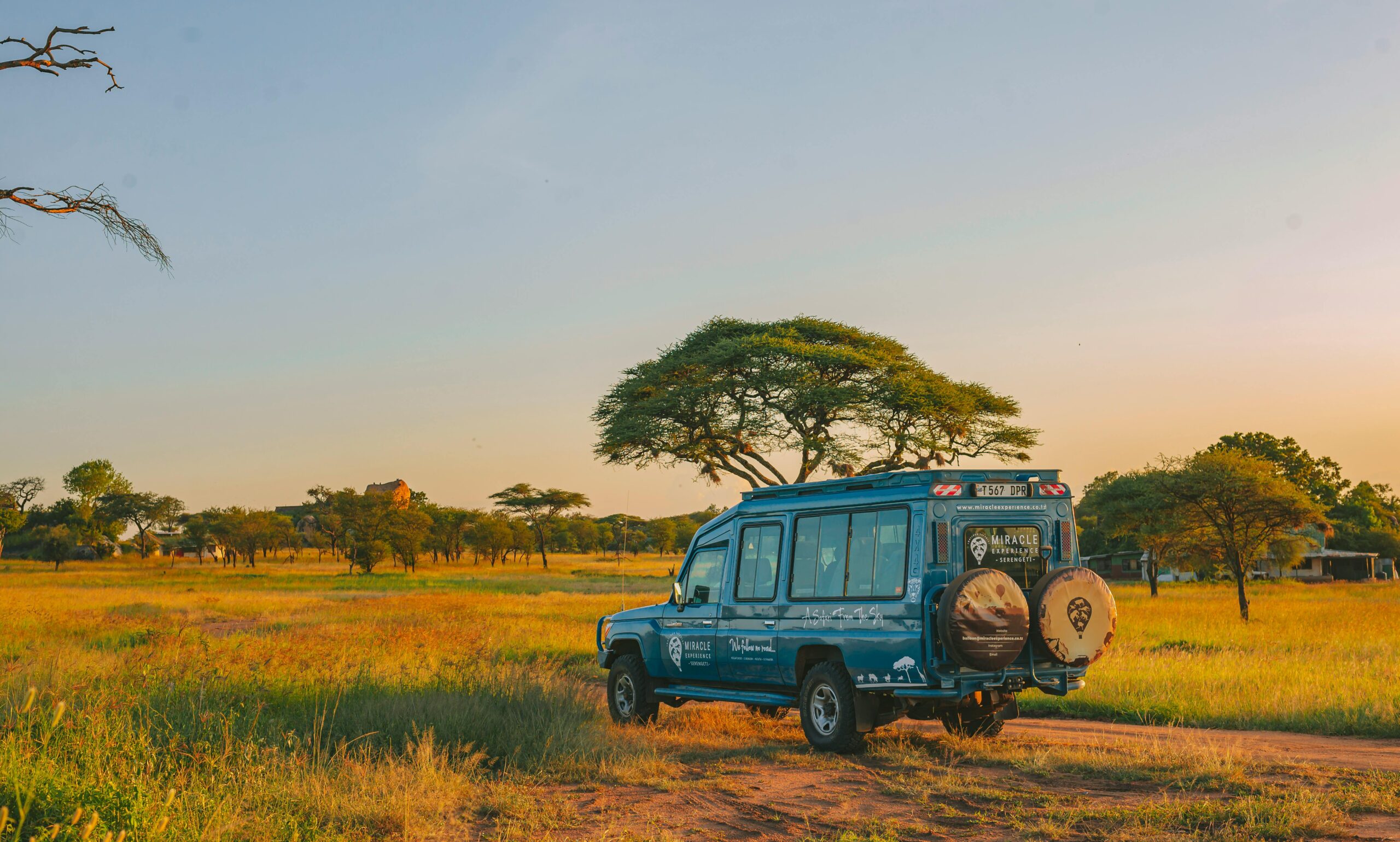 Safari vehicle parked on golden plains
