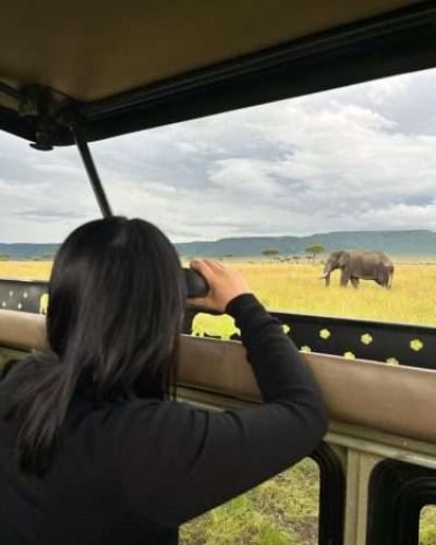 Africa safari tours in Kenya and Tanzania with Aether safari collection 1 scaled