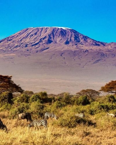 Amboseli National Park Mount Kilimnajaro scaled